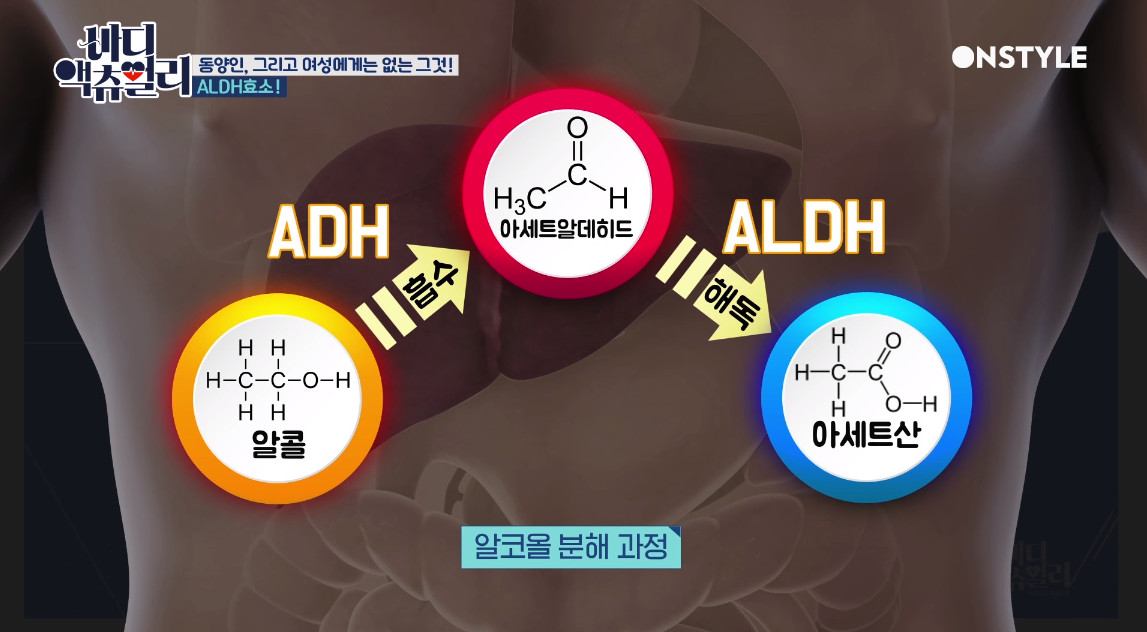 술을 조금만 마셔도 빨개지는 사람들의 특징jpgif | 인스티즈