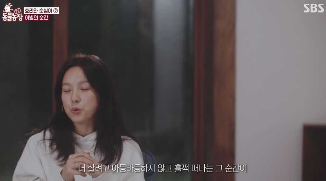 이효리 반려견 순심이가 죽기 전 다른 동물들이 보인 반응 | 인스티즈