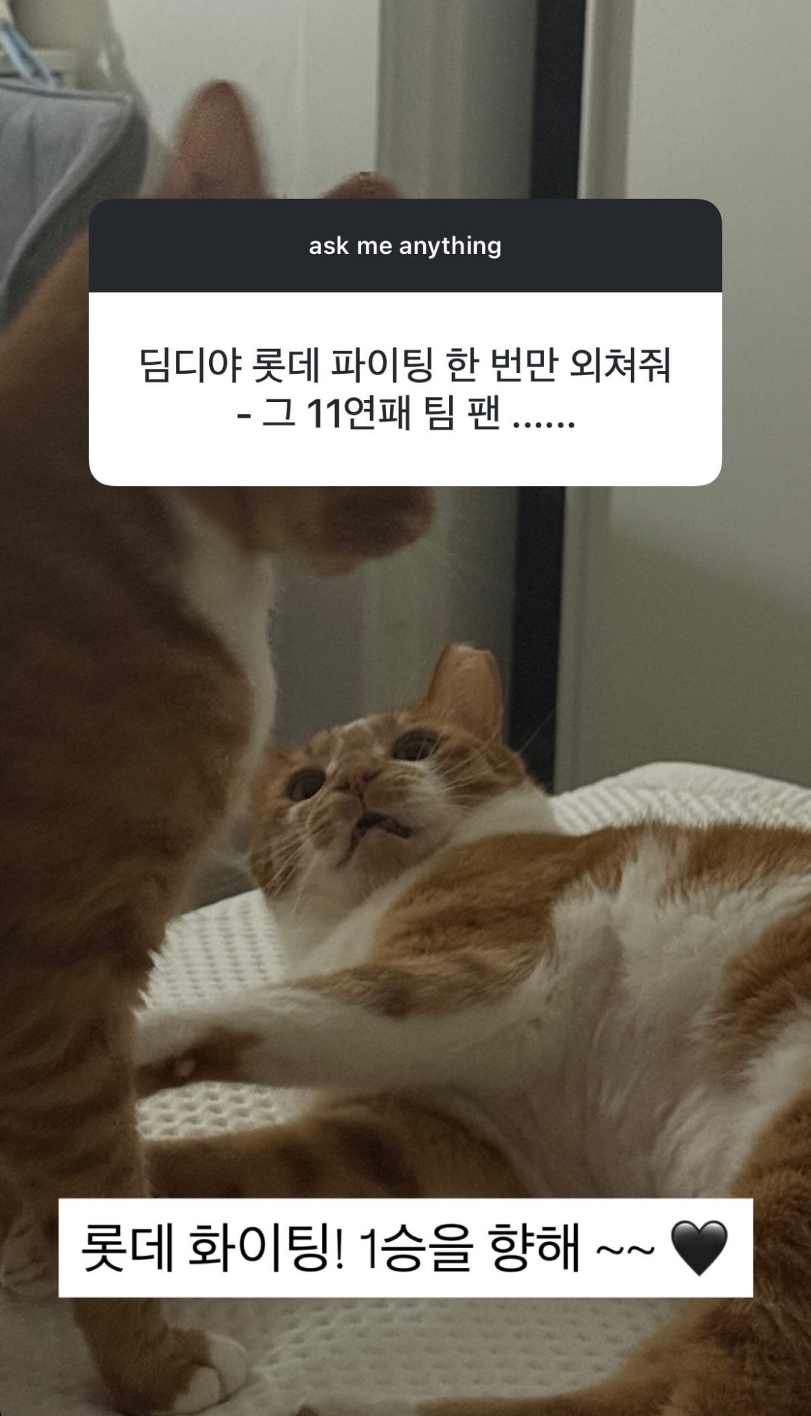 나 좋아하는 유투버 무물보다가 뼈맞음 | 인스티즈