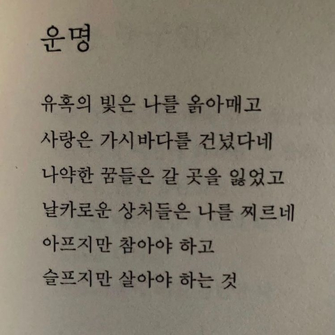 사랑은 낭만적이라 지독하리만큼 아프고 금방 시들어버려서 | 인스티즈