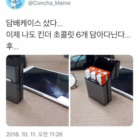 사랑은 낭만적이라 지독하리만큼 아프고 금방 시들어버려서 | 인스티즈