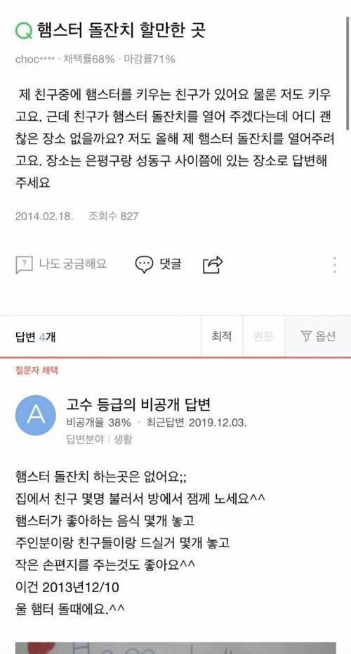 햄스터 돌잔치 장소 추천좀요 | 인스티즈