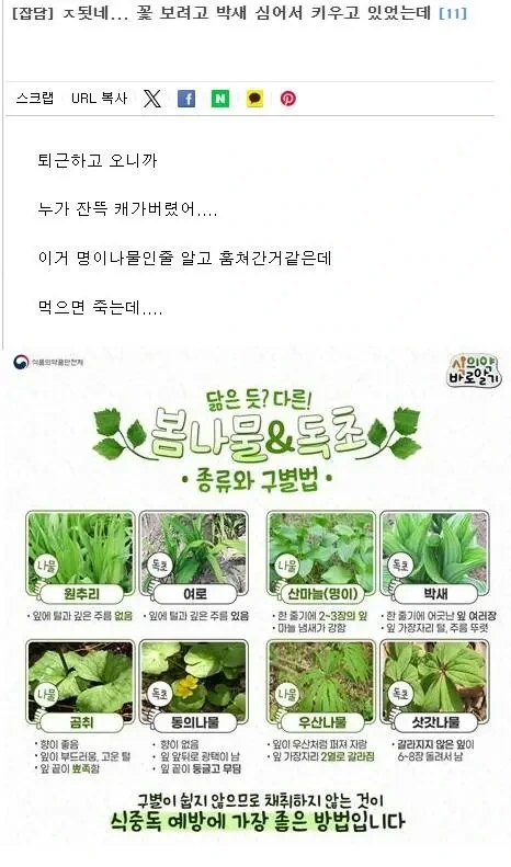 요즘 심각하다는 시골 농산물 도둑 근황 jpg | 인스티즈