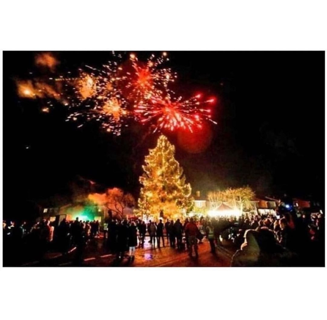 43년동안 키운 크리스마스 트리.jpg | 인스티즈