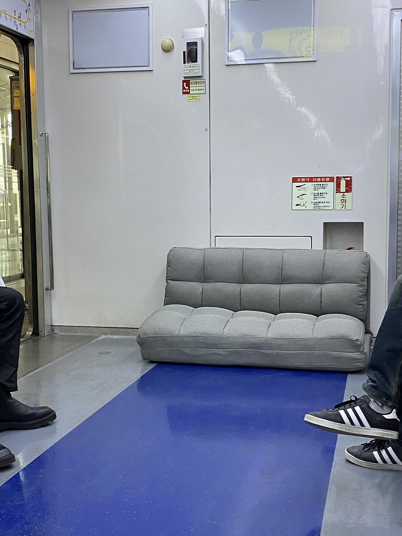 대학생들 이사철 되면 볼 수 있는 풍경 | 인스티즈