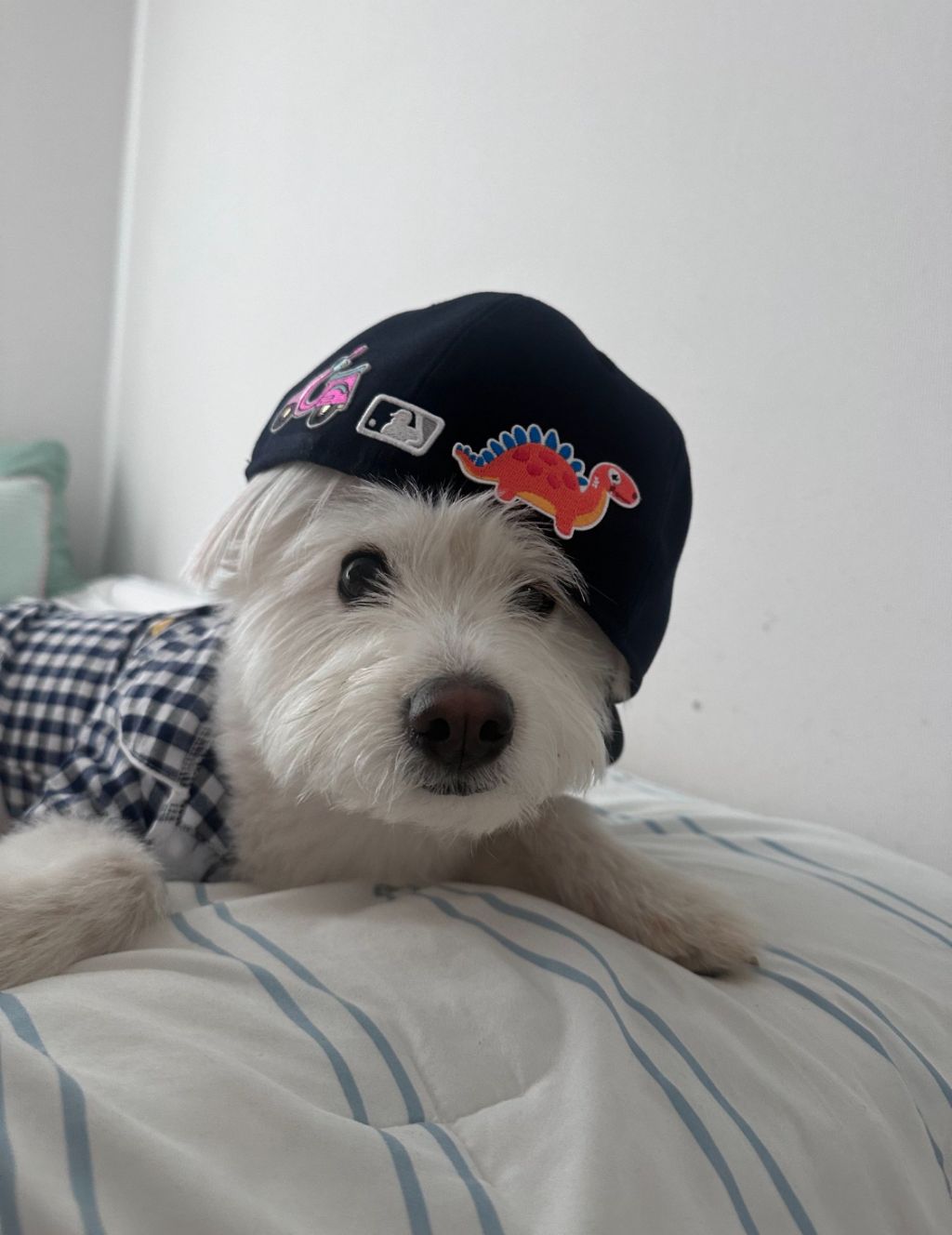 엄마가 모르셔서 그렇지 요즘은 다 이렇게 입어요 | 인스티즈