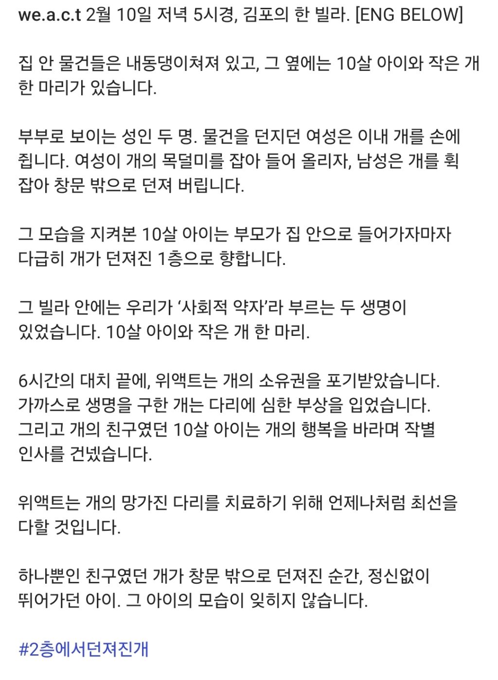 10살 아이가 보는 앞에서 창문으로 강아지 던짐 | 인스티즈