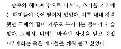 내가도망친다해도사랑해줄래? | 인스티즈