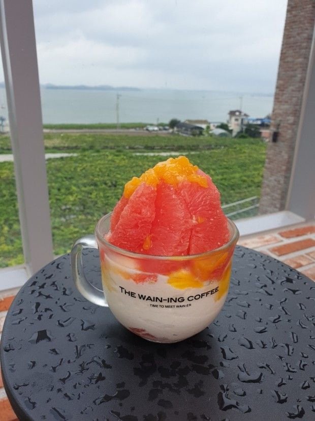 요거트 아이스크림이 진짜 맛있는 걸로 유명한 지방 카페 체인 | 인스티즈