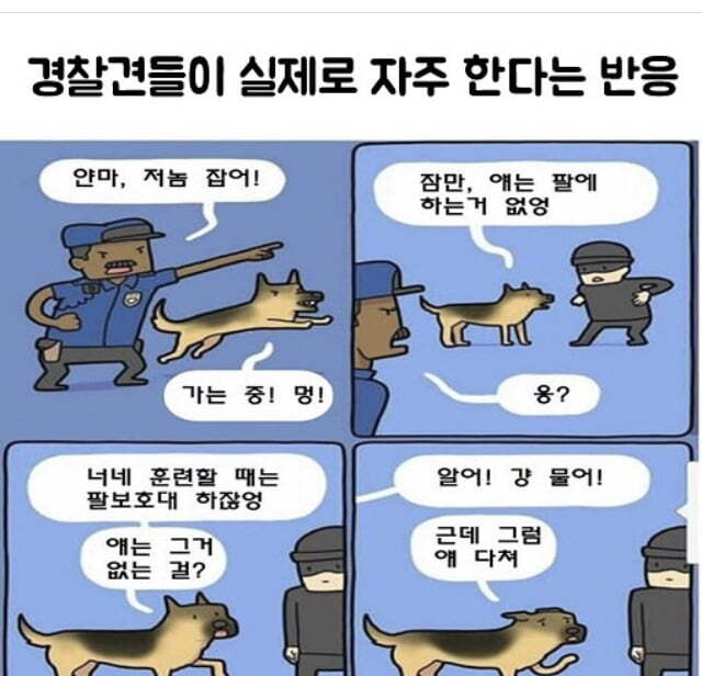 경찰견들이 실제한다는 반응 | 인스티즈