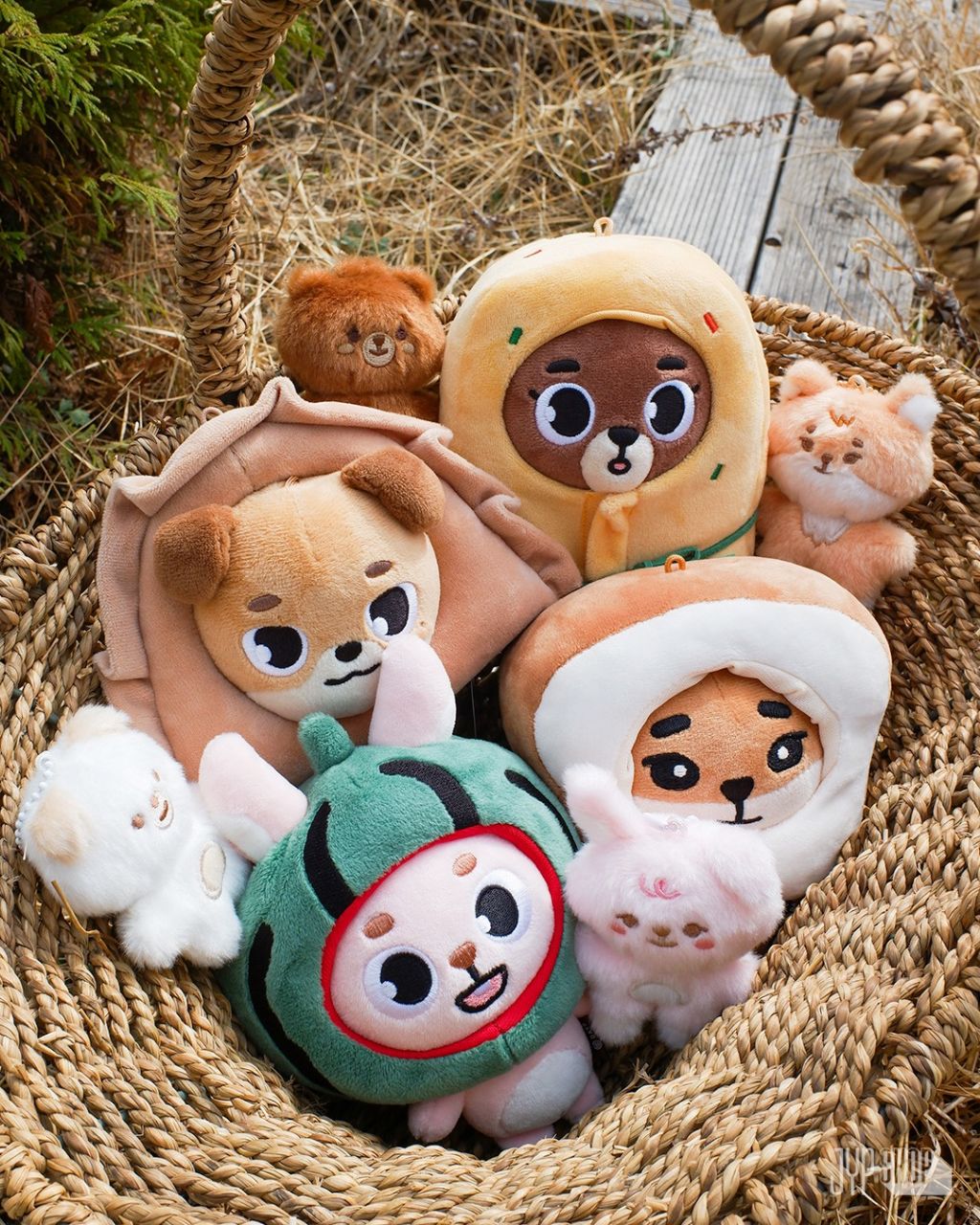 데이식스 DAY6 월드투어 공식 MERCH 모음 | 인스티즈