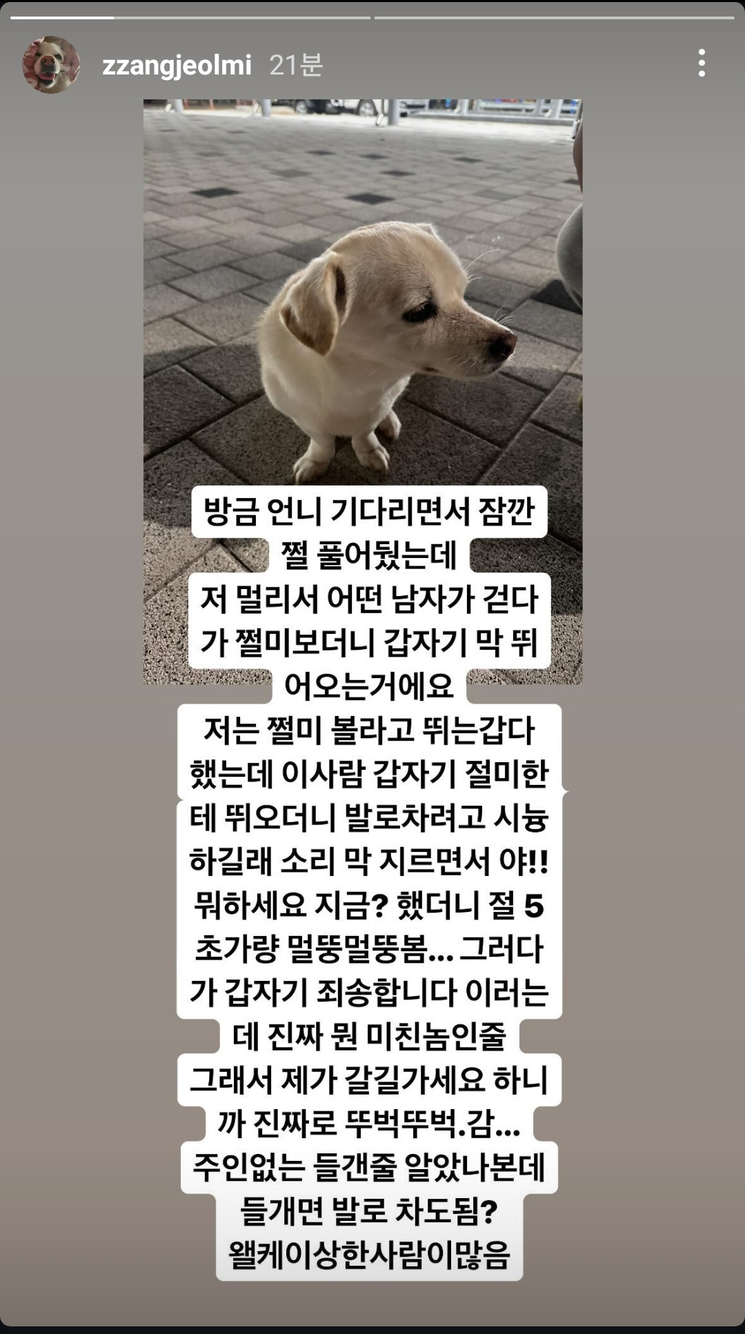 충격적인 짱절미 근황 | 인스티즈