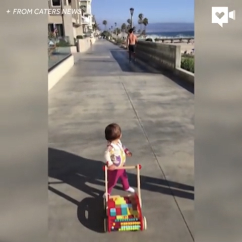 한때 서양 SNS 자주 올라왔던, 미국판 짱아 ㅋㅋ | 인스티즈