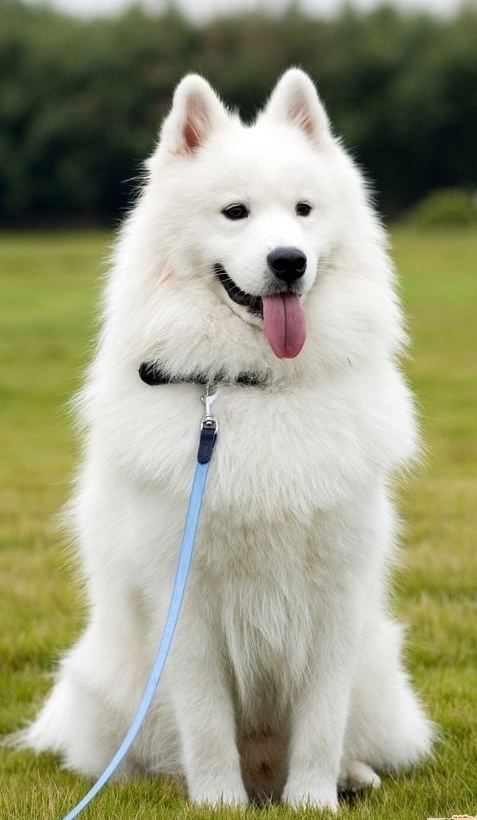 인터넷에서 이름을 잃어버린 자들 | 인스티즈