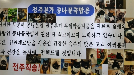 고양이를 너무 자랑하고 싶었던 콩나물 국밥집 사장님 .jpg | 인스티즈