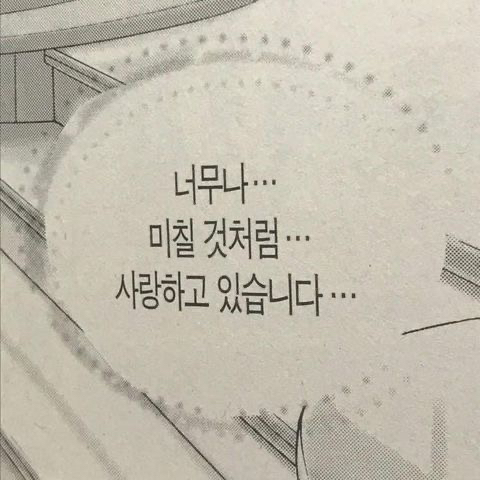 사랑은 낭만적이라 지독하리만큼 아프고 금방 시들어버려서 | 인스티즈