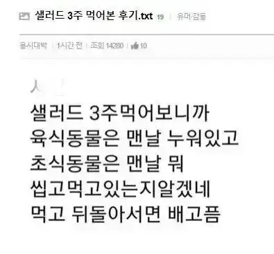 샐러드 3주 먹어본 후기 | 인스티즈