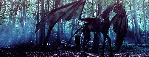 해리포터에서 가장 타보고 싶은 비행수단은? | 인스티즈