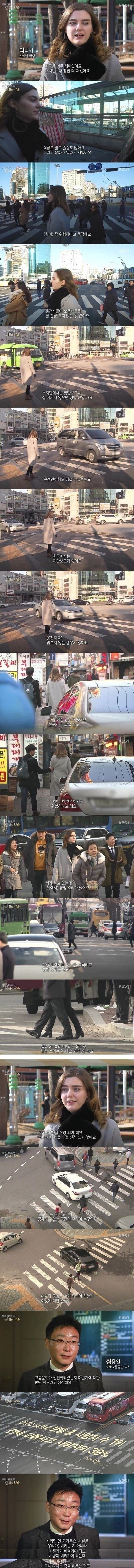 스웨덴사람이 충격받은 한국 문화 | 인스티즈