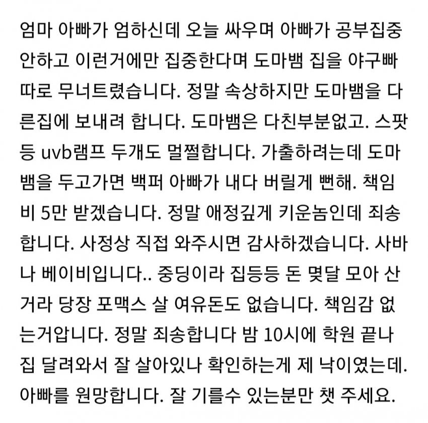 도마뱀 분양글을 올린 중딩.jpg | 인스티즈