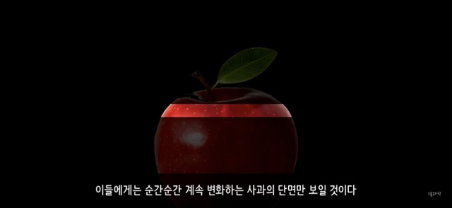 아 정말 재밌는데 한번만 봐봐 니 운명이 이미 정해져 있다는 과학적 이유 (개소름주의) | 인스티즈