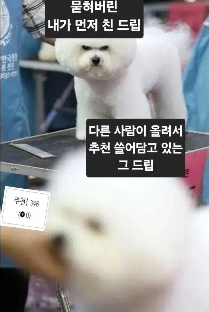 커뮤 하다보면 생기는 상황 . jpg | 인스티즈