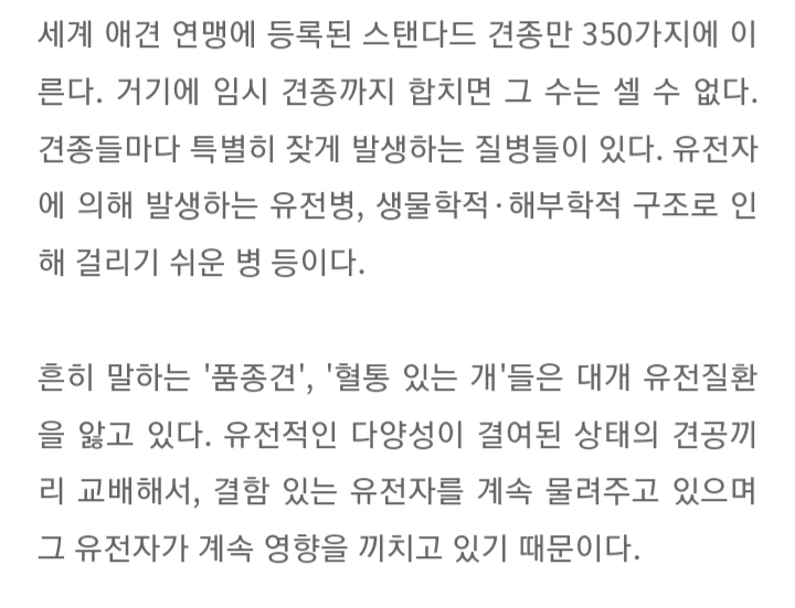 품종묘 보다 품종견에 관대한 사람들.jpg | 인스티즈