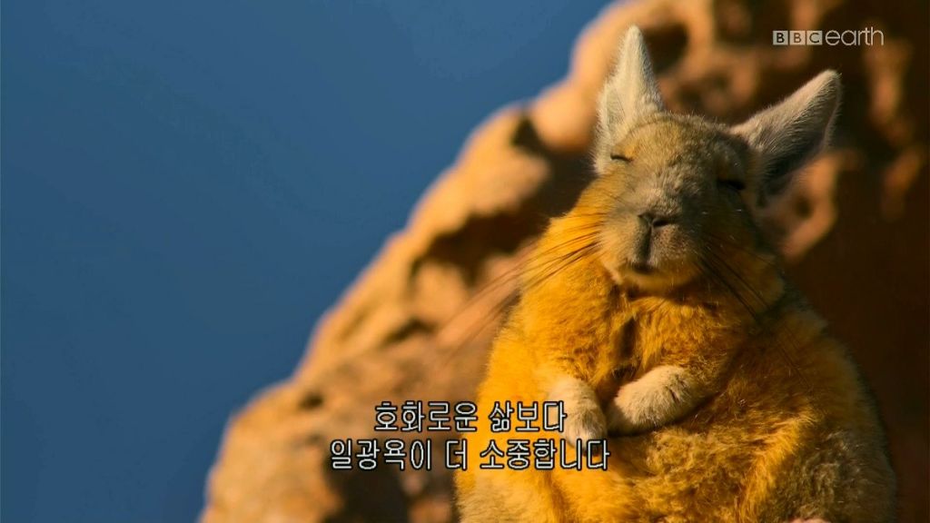 호화로운 삶보다 소중한것 | 인스티즈