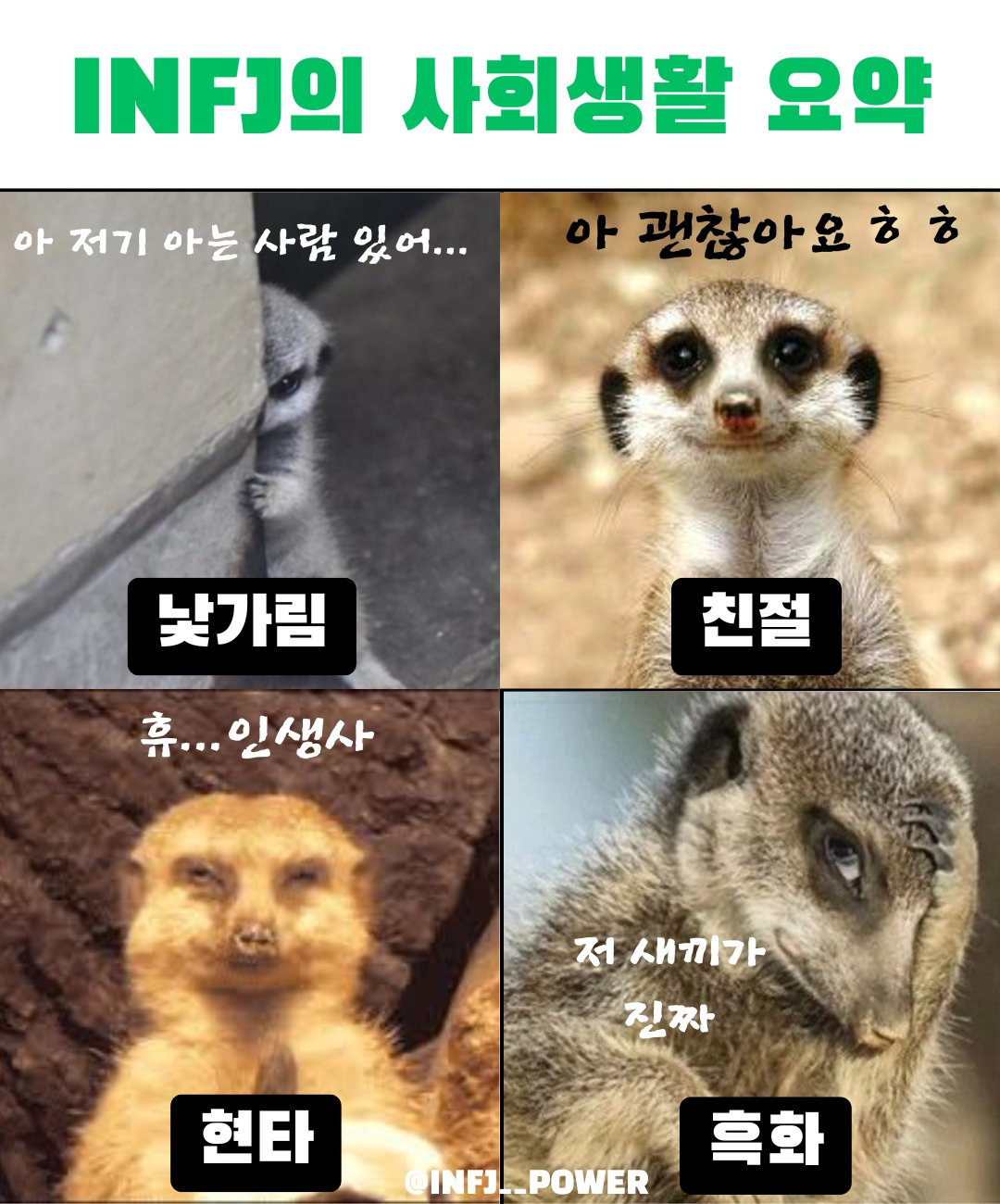 INFJ 사회생활 요약 | 인스티즈