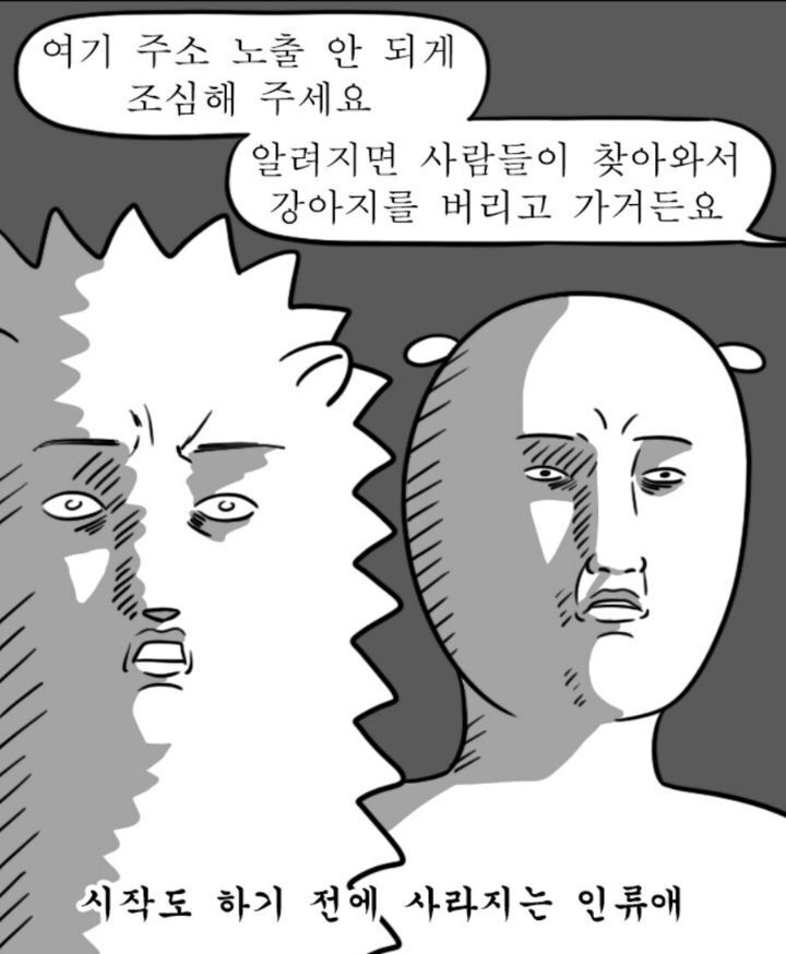 유기견 보호소 위치 안 알려주는 이유 | 인스티즈
