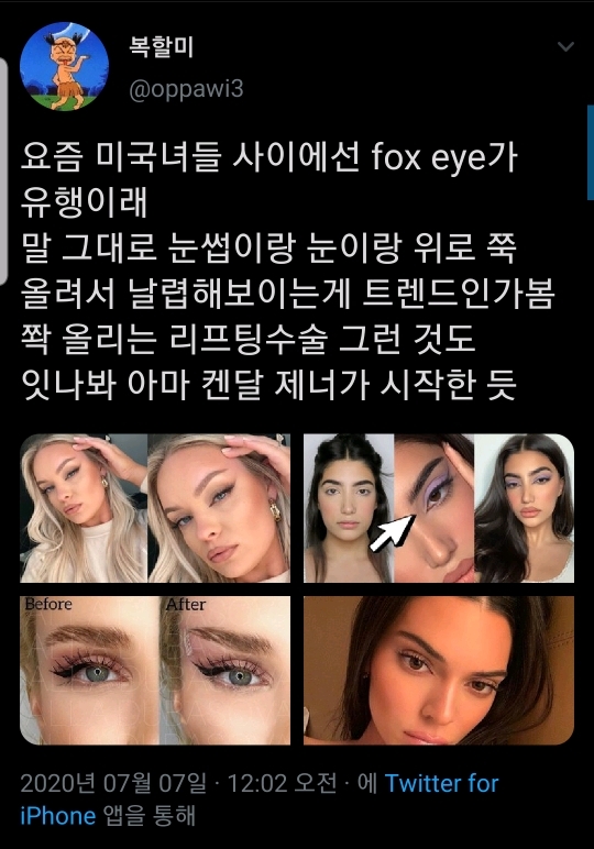 요새 서양에서 유행하는 fox eye | 인스티즈