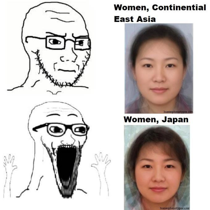 요즘 서양에서 일뽕을 상징하는 밈 | 인스티즈