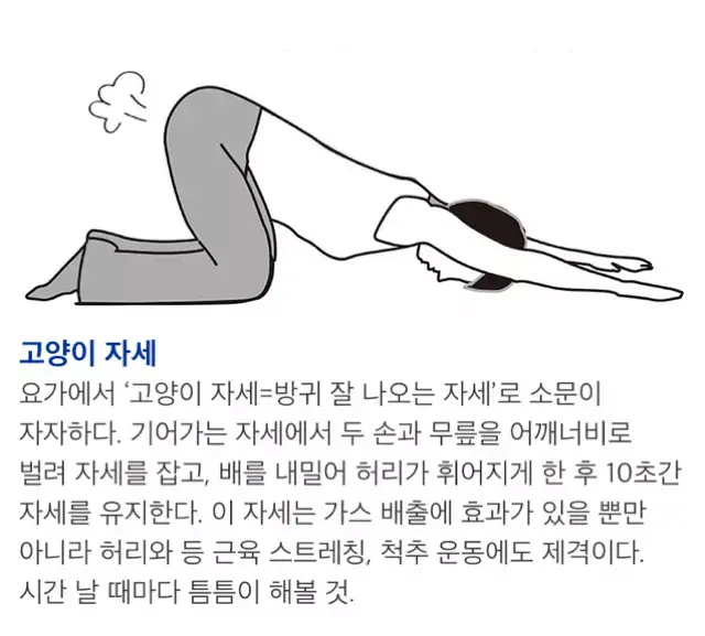 가스 찼을때 방귀 잘나오는 자세 | 인스티즈