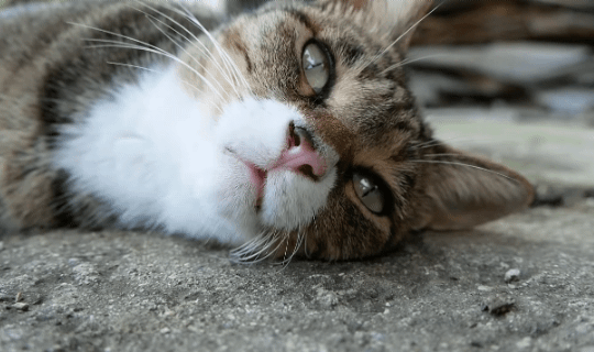 [hahaha] 양어장 일짱 하연님 | 인스티즈