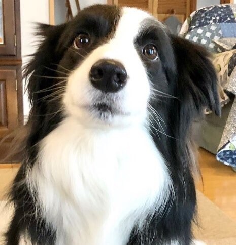 인터넷에서 이름을 잃어버린 자들 | 인스티즈