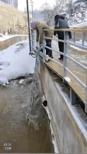 고양이 구조하는 모습 | 인스티즈