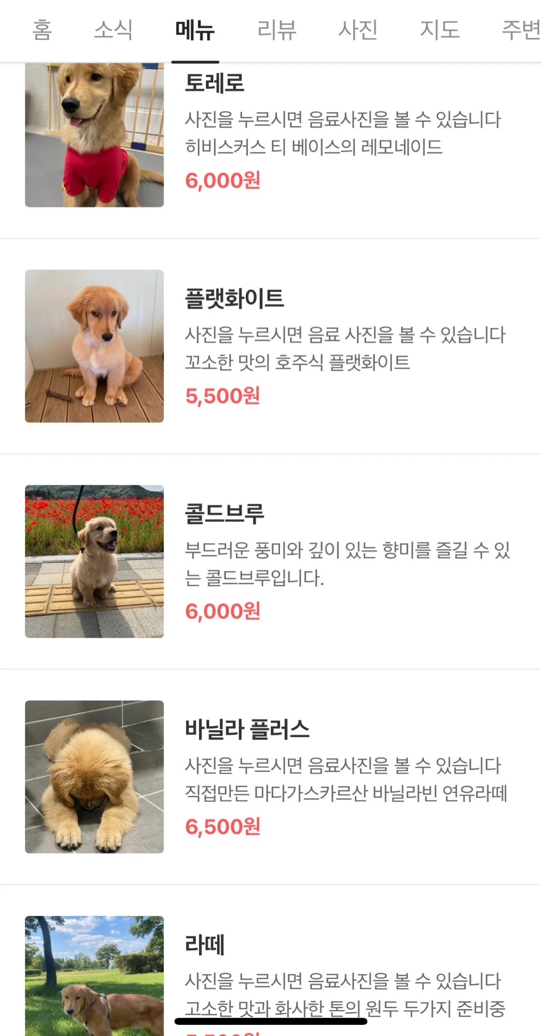 맥락없이 다짜고짜 하는 개자랑을 좋아하는 편 | 인스티즈