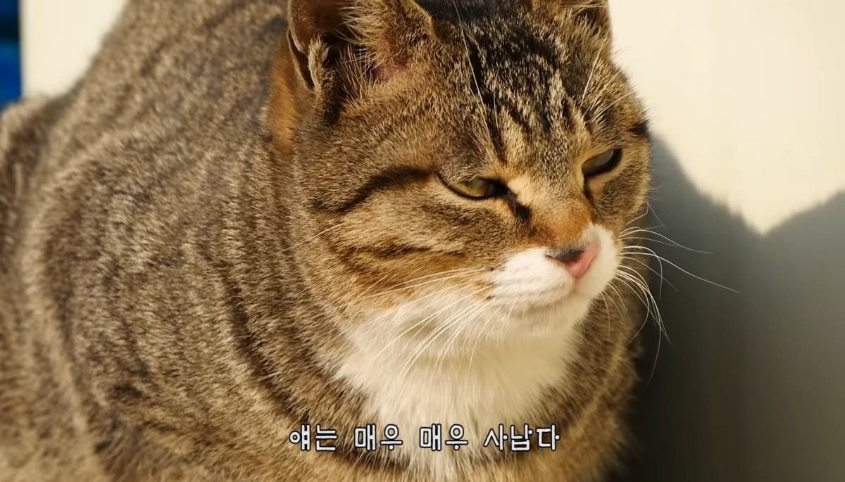 [hahaha] 양어장 일짱 하연님 | 인스티즈