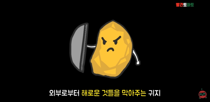 한국인 종특 | 인스티즈