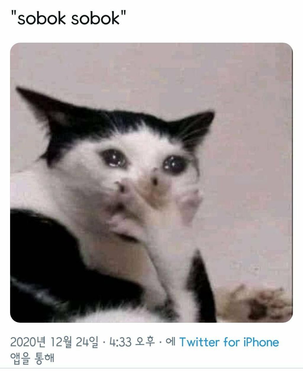 한국어 단어 하나 때문에 난리난 방탄소년단 해외 팬덤 | 인스티즈