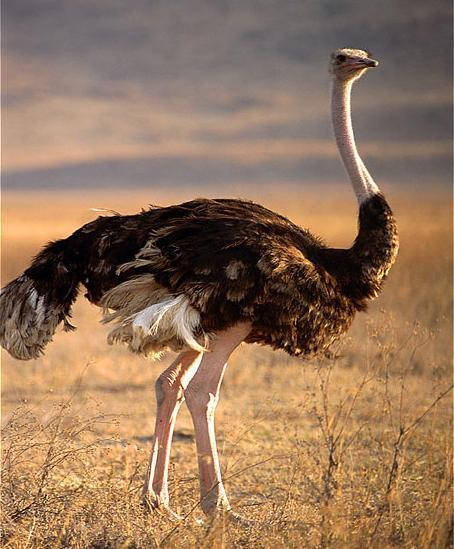 인터넷에서 이름을 잃어버린 자들 | 인스티즈