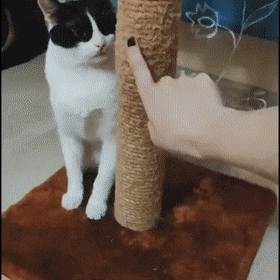 사준 보람이 있네.gif | 인스티즈