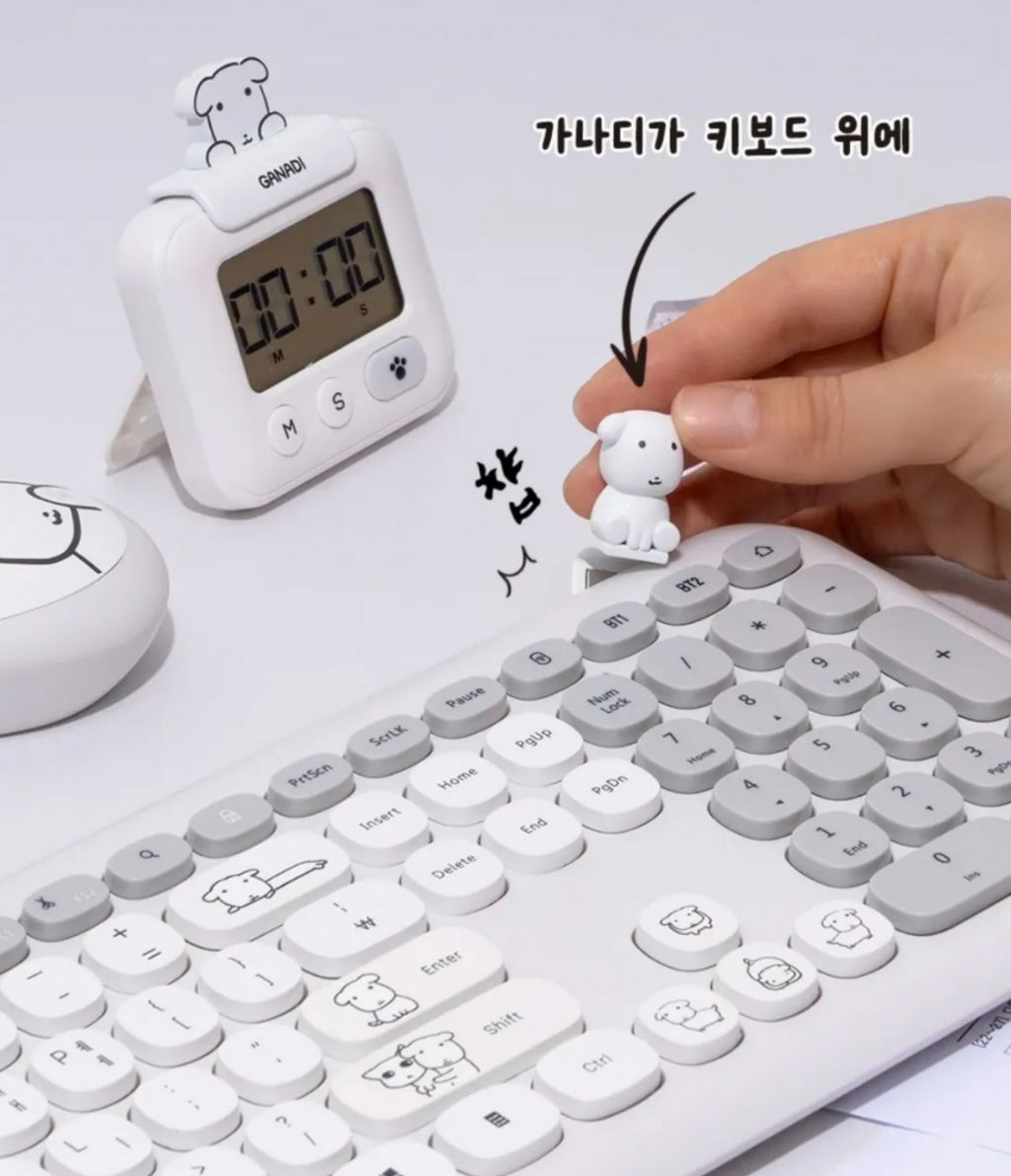 짱귀여운 듀가나디 new 굿즈 | 인스티즈