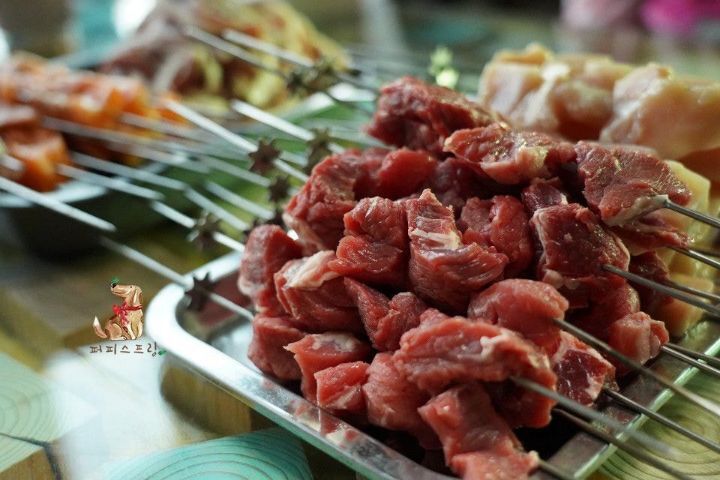 강아지 유치원의 수학여행 | 인스티즈