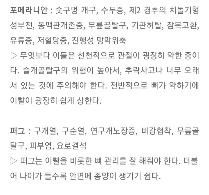 품종묘 보다 품종견에 관대한 사람들.jpg | 인스티즈