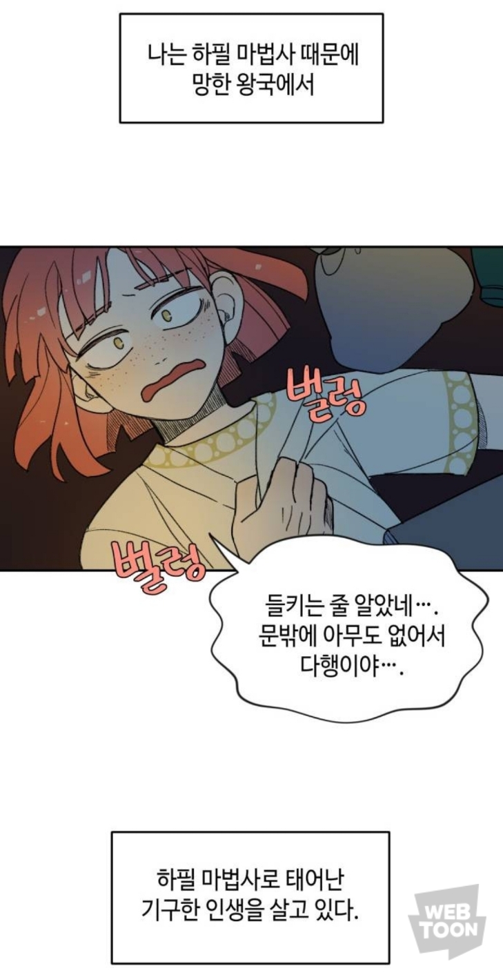 마법사가 말아먹은 나라에서 마법사로 태어났는데 어떡하지? MBTI랑 반응 알려줘 | 인스티즈