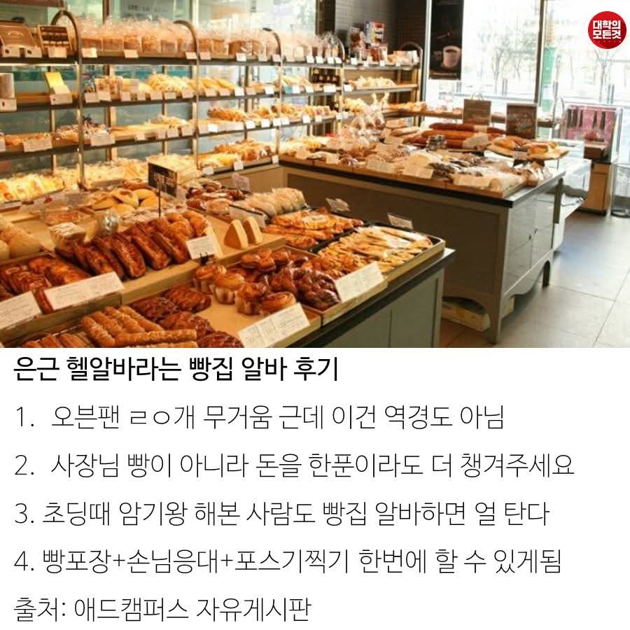 은근 개헬이라고 악명 높은 알바 | 인스티즈