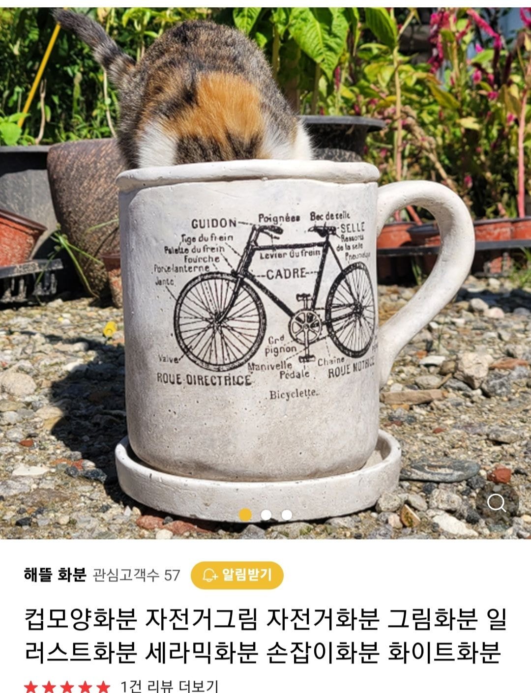 우리가게 물건 좋아요 고양이도 보세요 | 인스티즈