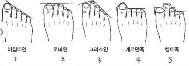 사람마다 다른 발가락 모양 | 인스티즈