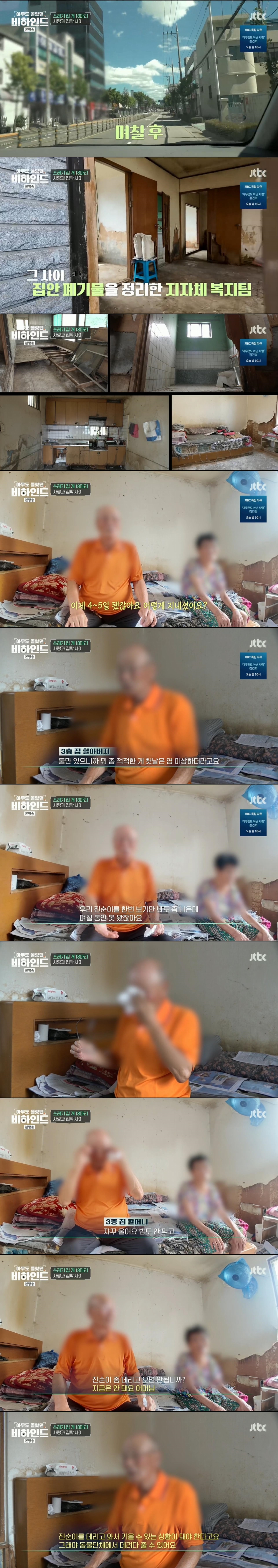 할머니와 할아버지와 함께 쓰레기집에서 살던 18마리의 강아지들 | 인스티즈
